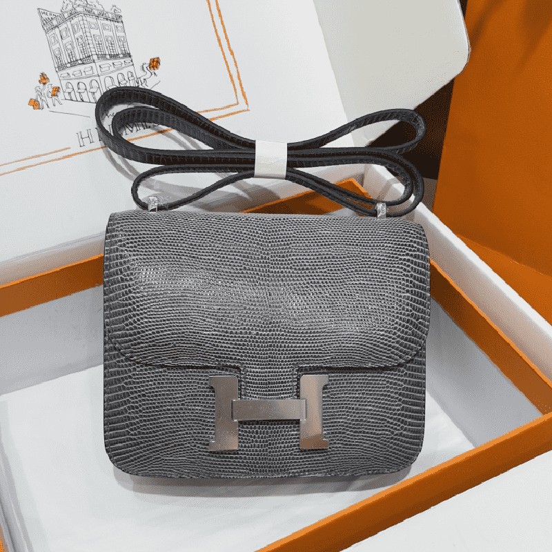 Hermes Constance 19 Etoupe Lizard PHD